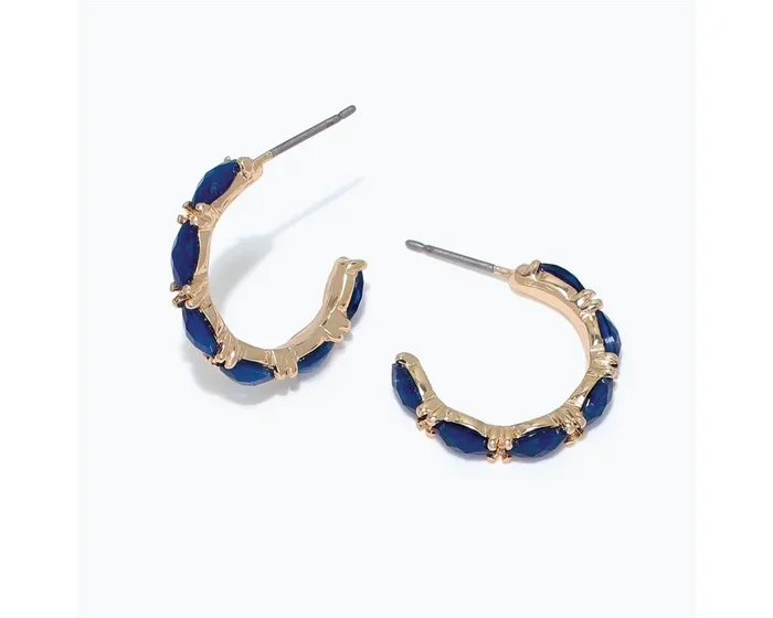Blue and Gold Hoop Earrings
