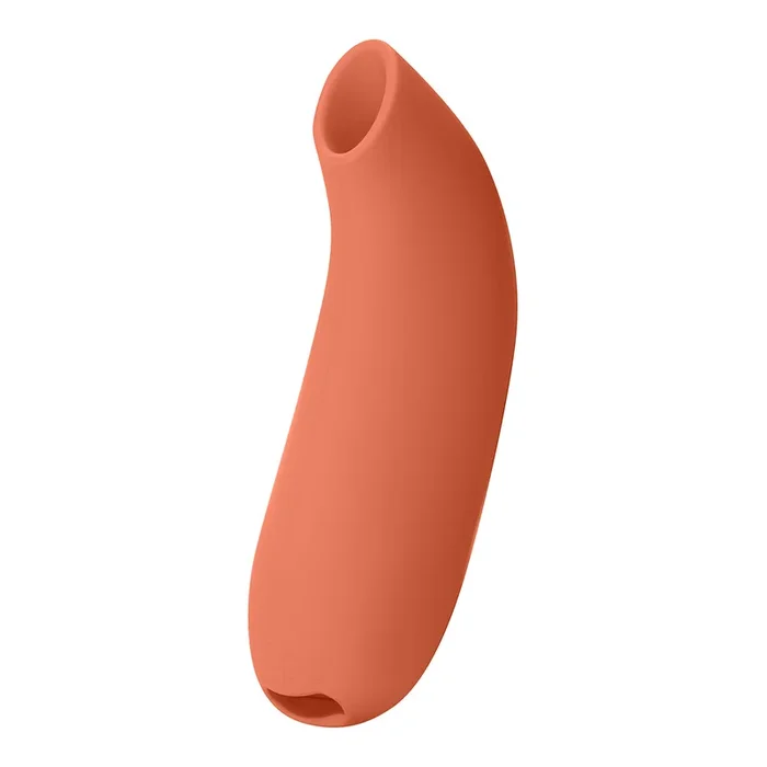 Dame Aer Air Pulse Vibrator